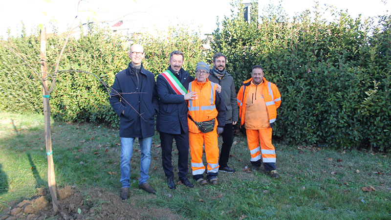 Vinci. Ambiente, due nuovi alberi piantati a Sovigliana