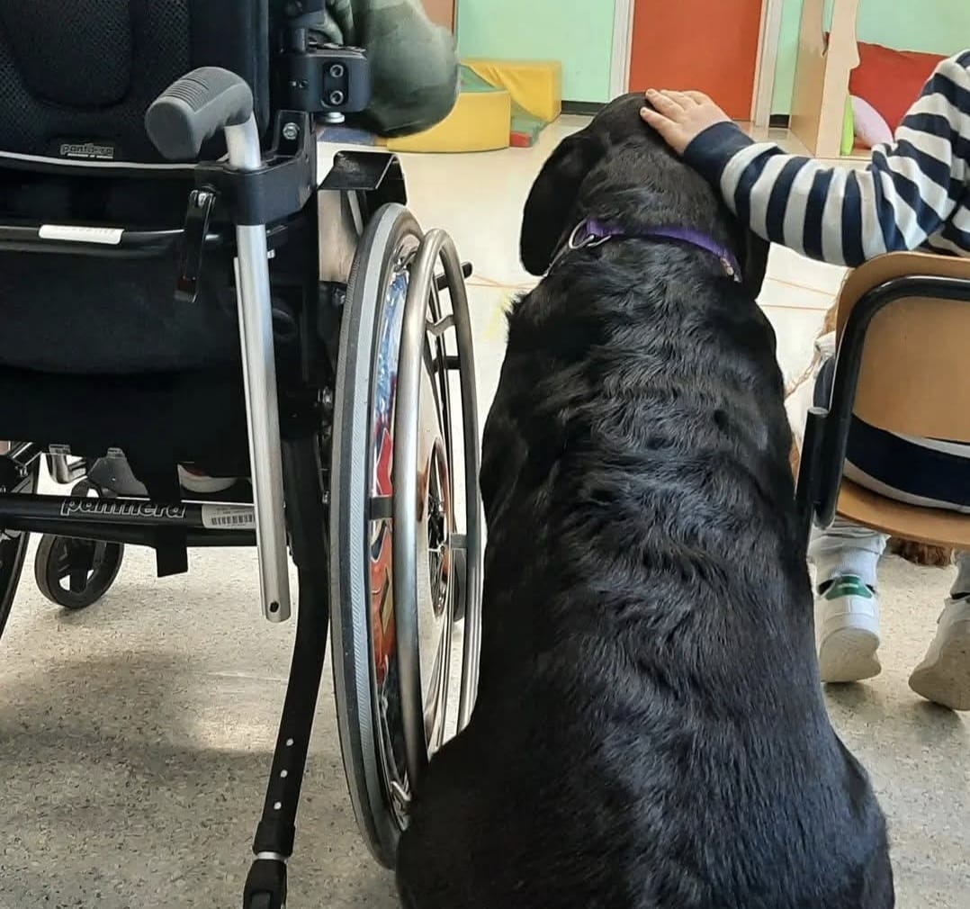 Interventi Assistiti con Animali nel Reparto geriatrico