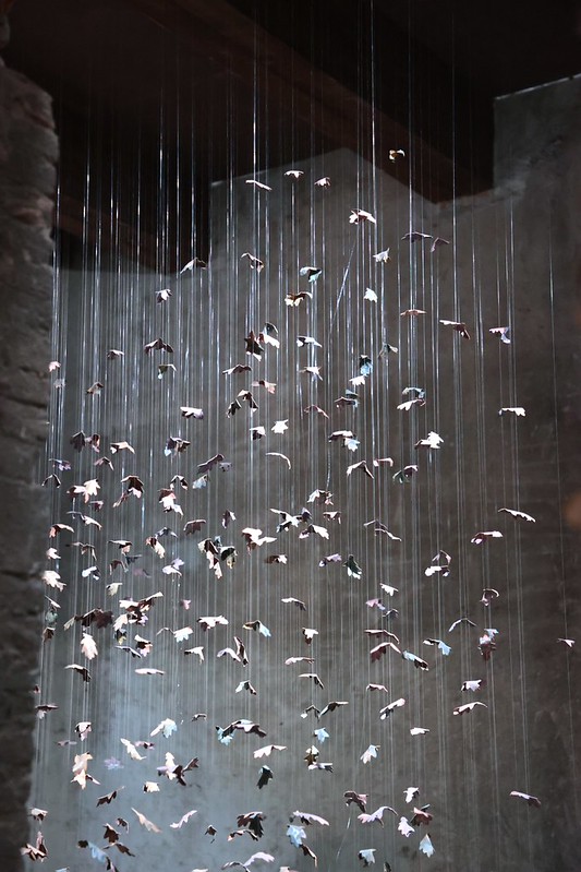 Foto di Antonello Serino - Met Ufficio Stampa