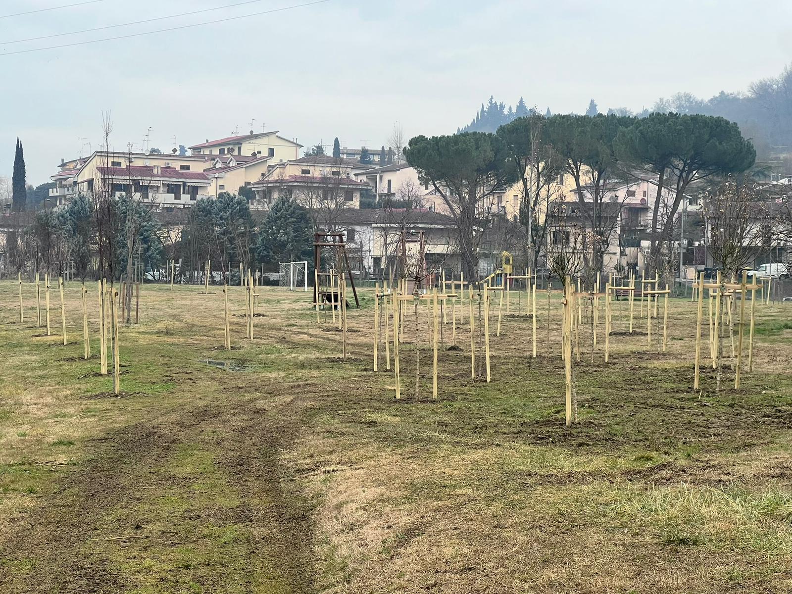 Alia pianta 61 alberi nel parco di Baccaiano nell’ambito del progetto del nuovo Ecocentro (Fonte foto comunicato Plures)
