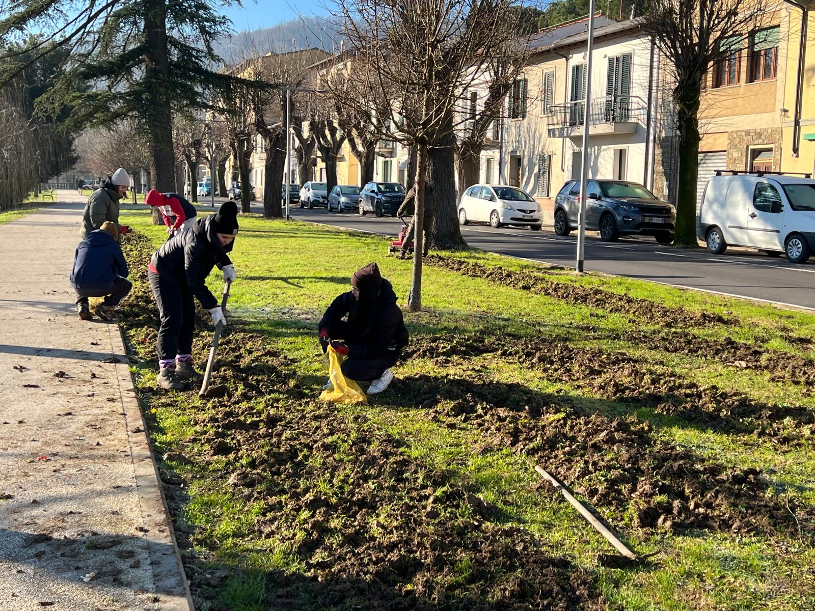 tulipani pontassieve