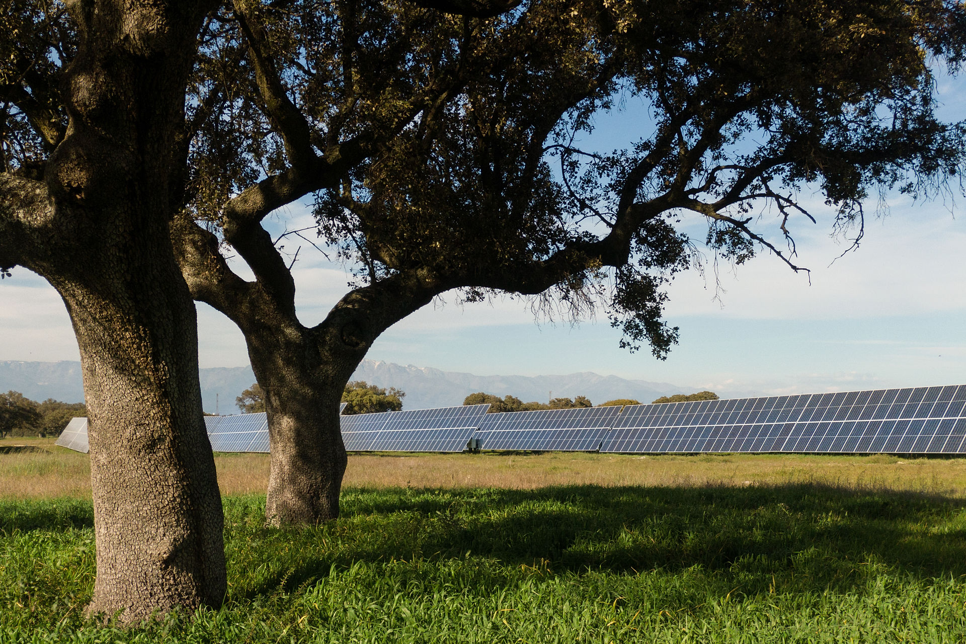 Estra sottoscrive un Corporate PPA con Statkraft per la fornitura di energia rinnovabile (Fonte foto: comunicato stampa Estra)