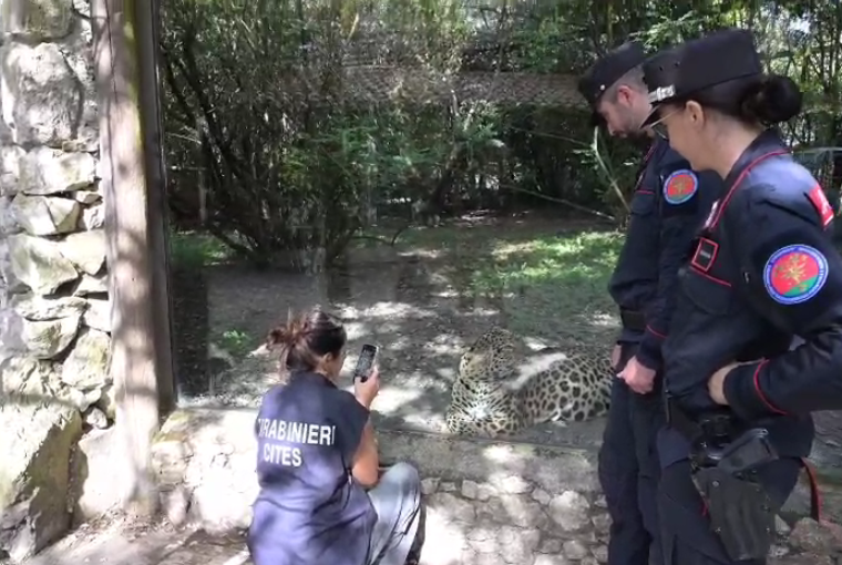 I Carabinieri Forestali della Toscana (fonte foto frame video comunicato)