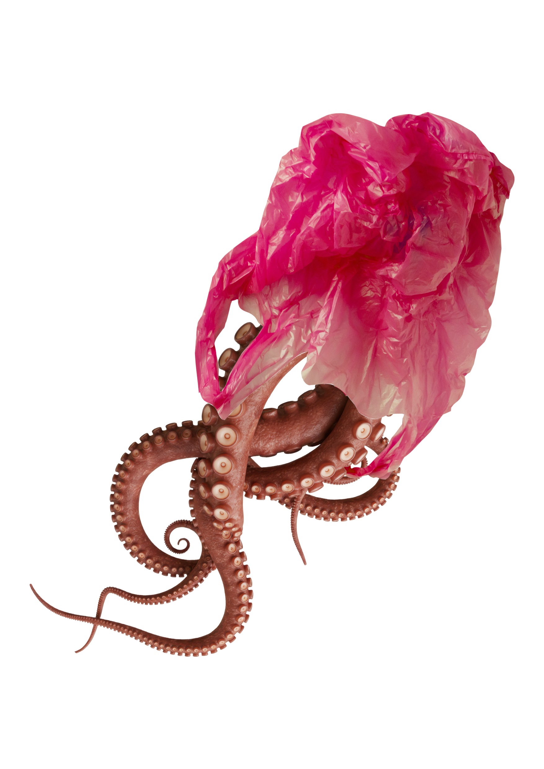 2_IED Firenze x Plures_sez Rifiuto_Sistema_Polipo (fonte foto comunicato stampa)