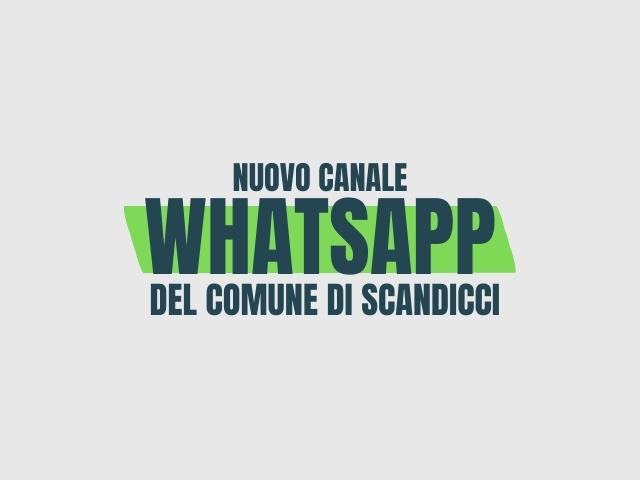 immagine whatsapp