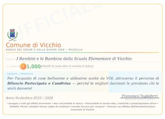 Bilancio partecipato 