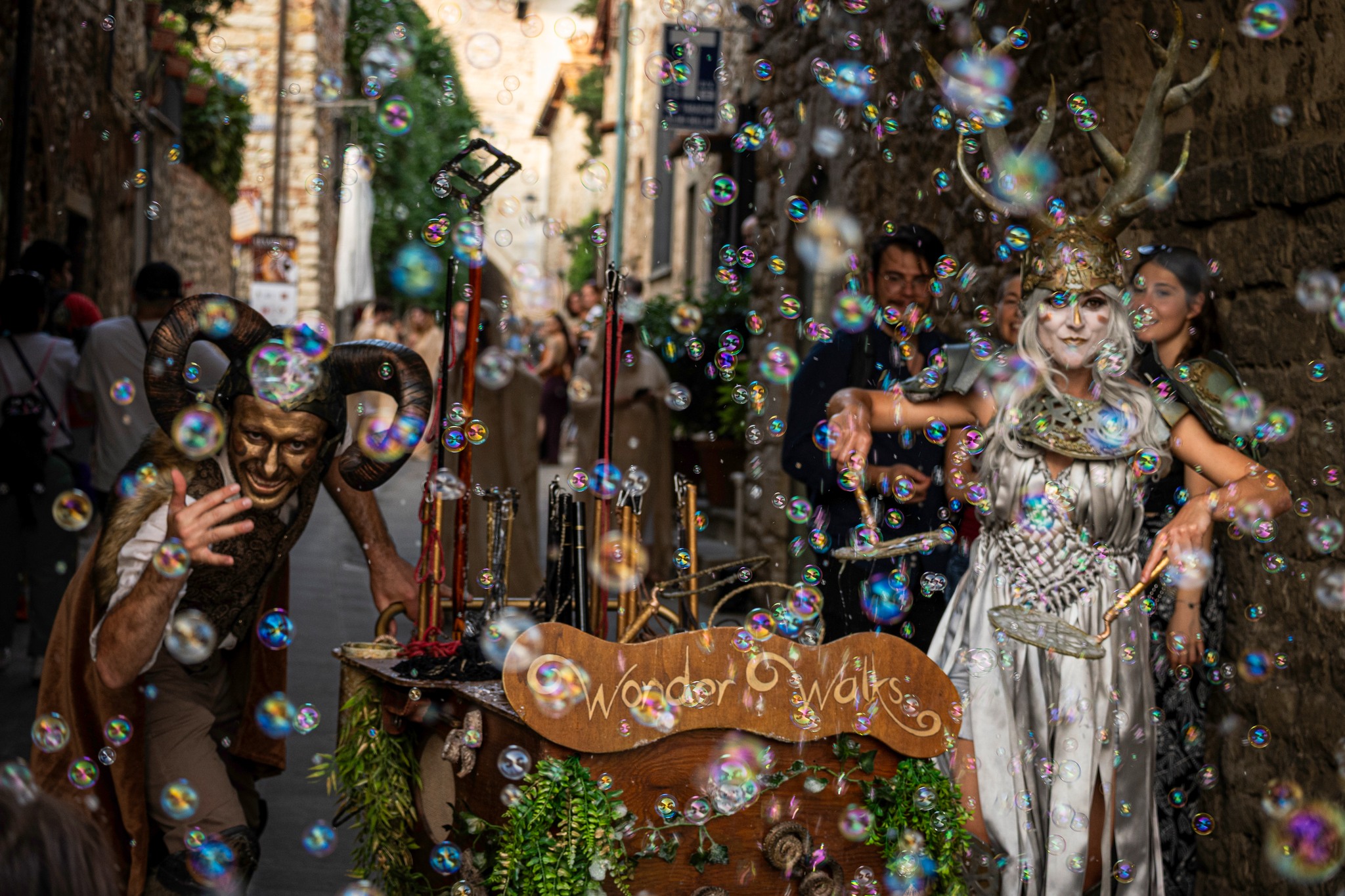 Lunaria (Fonte foto Comune di Calenzano)