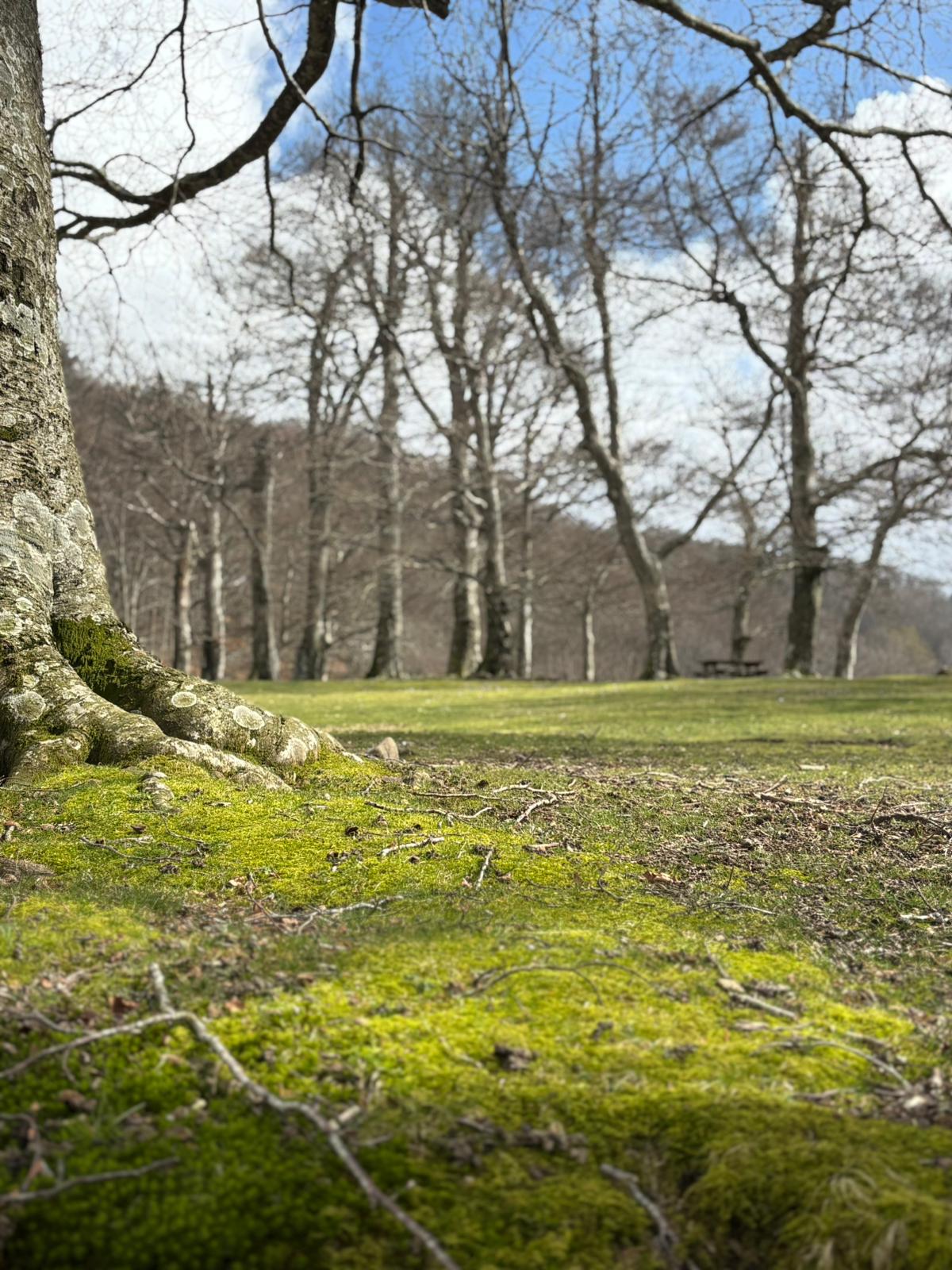 (fonte foto comunicato stampa)