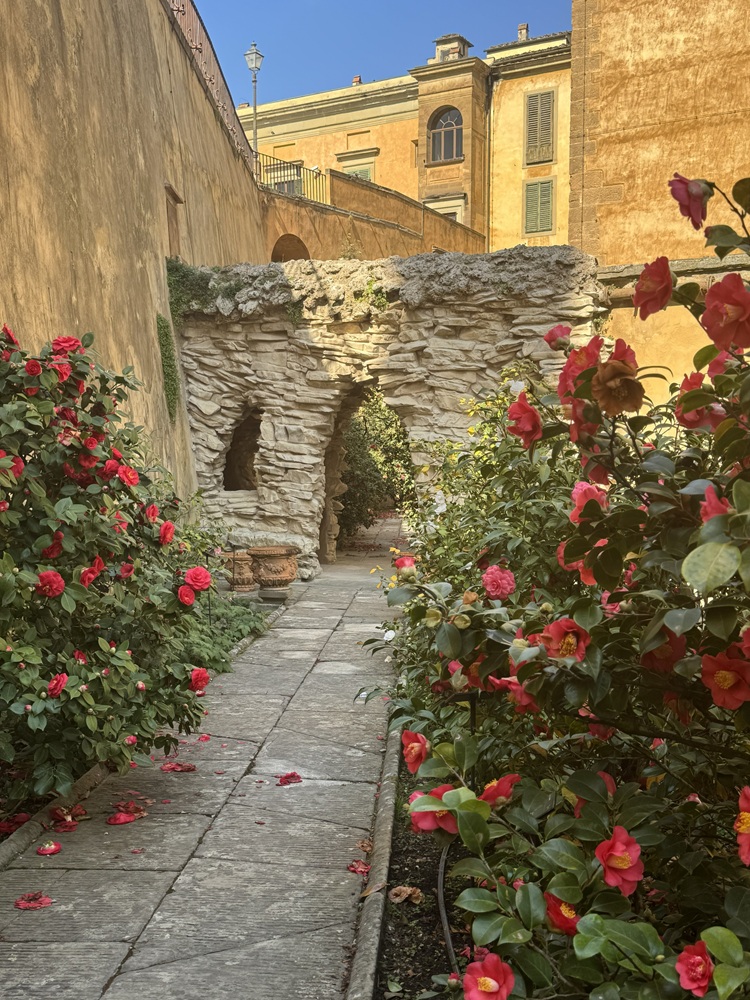 Boboli, è aperto il giardino segreto della camelie