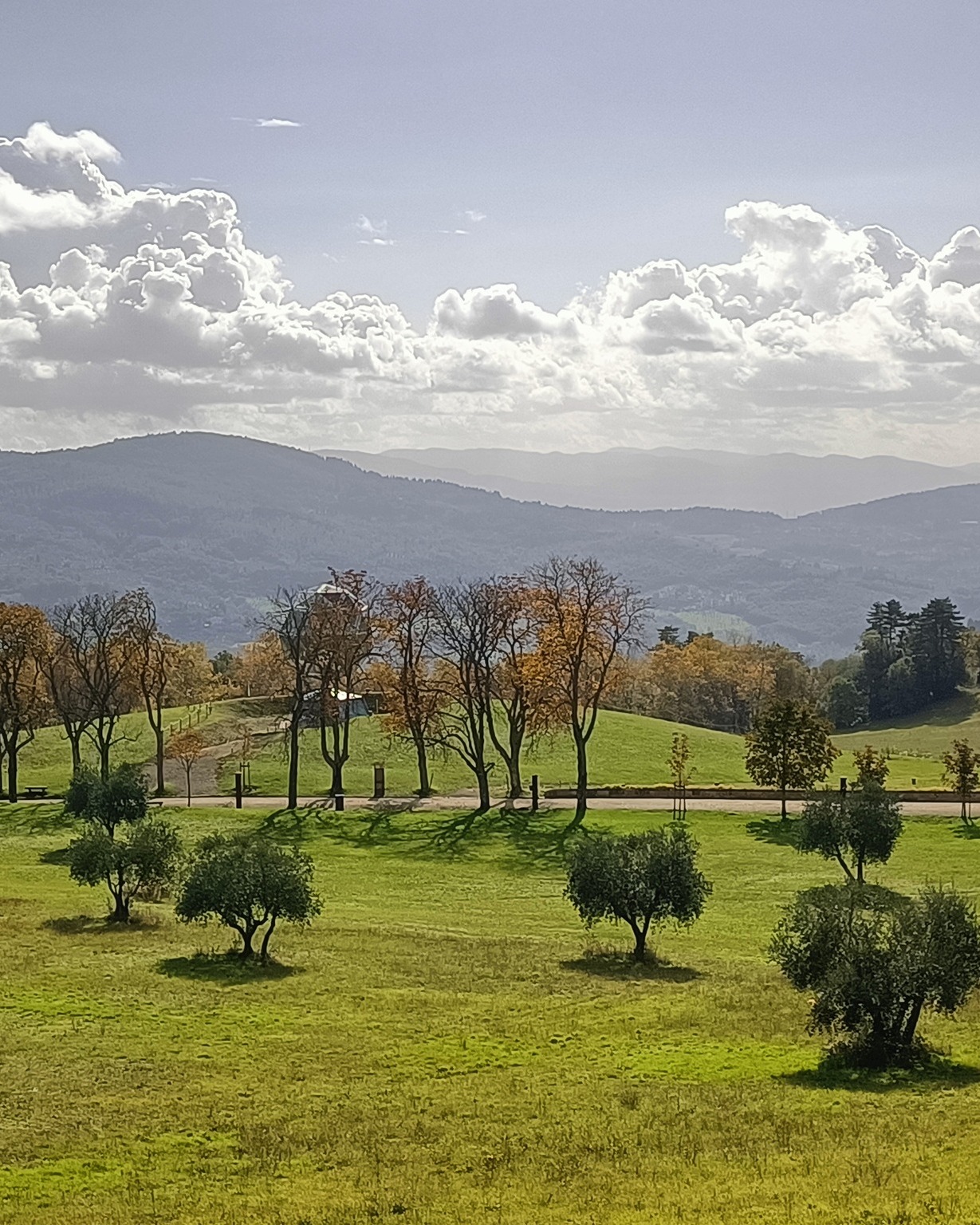 Foto Città Metropolitana di Firenze