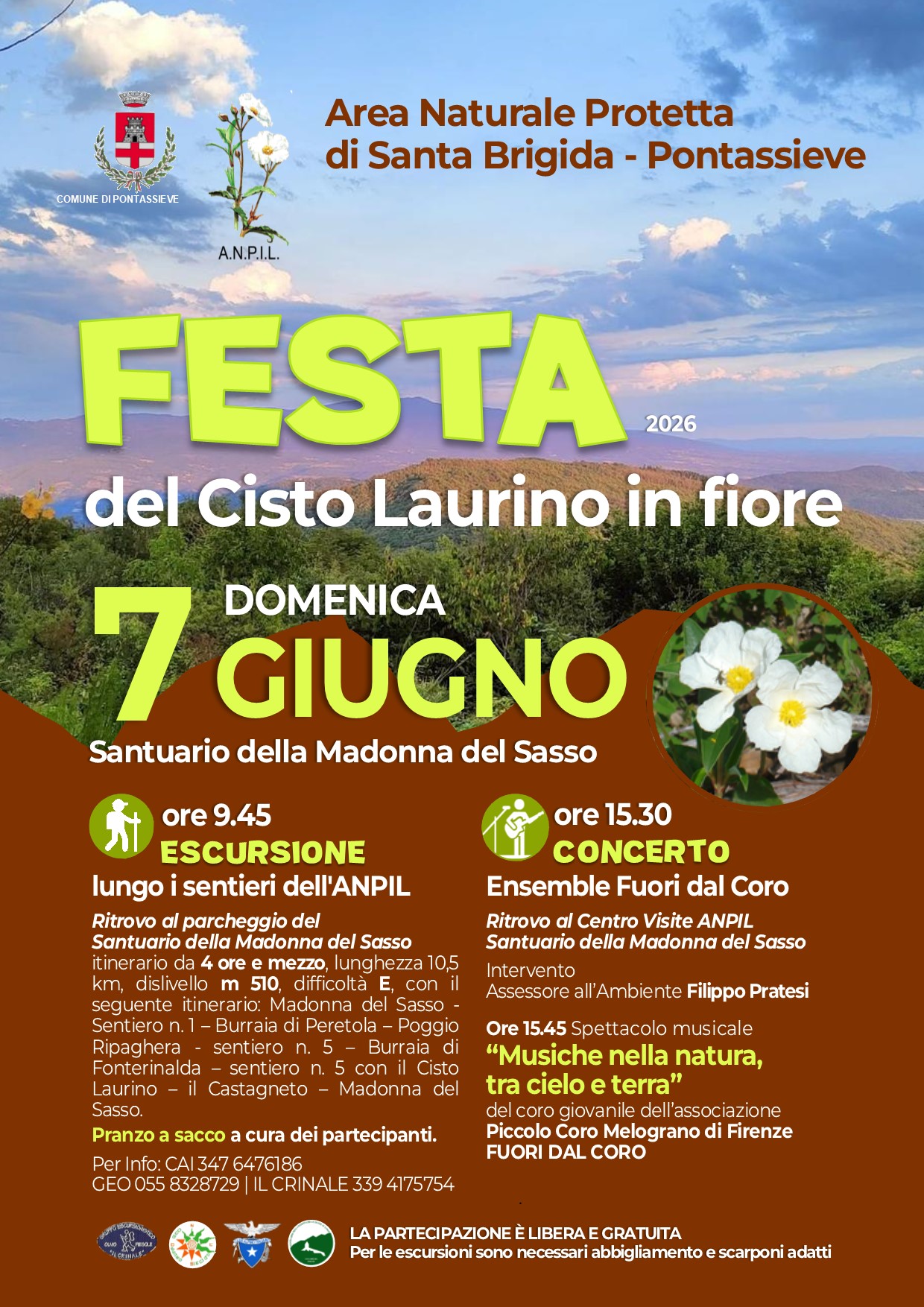 cisto pontassieve