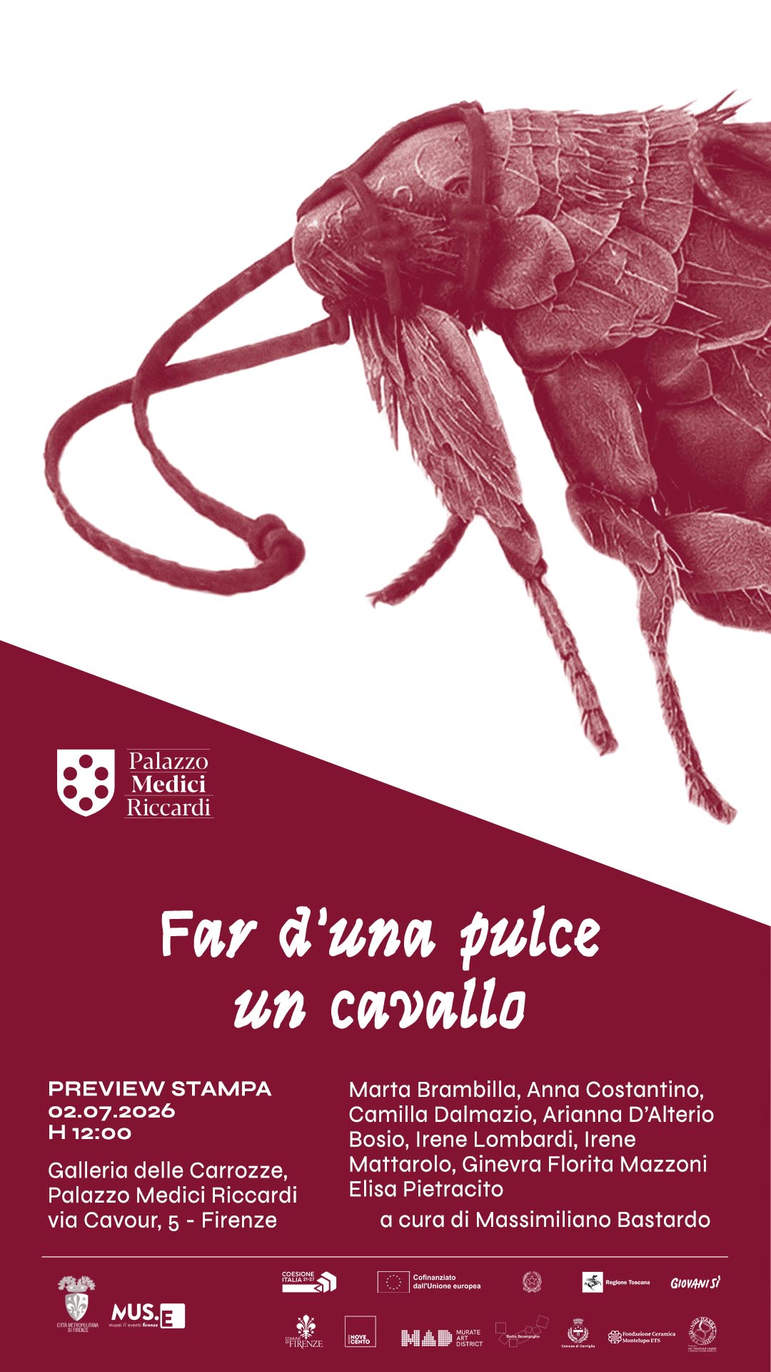 Far d'una pulce un cavallo