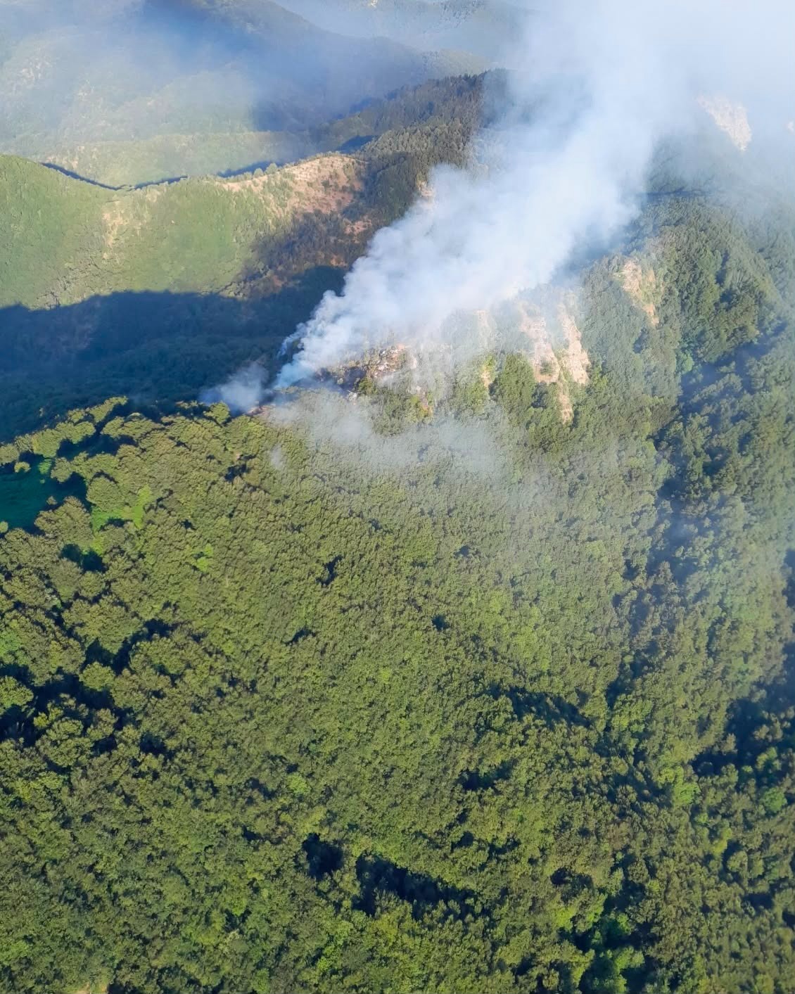 Incendio in località La Colla Vicchio (fonte foto Regione Toscana) 