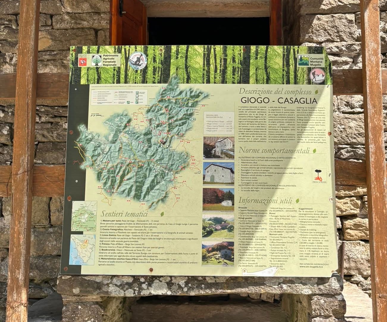 Piantina Mugello 
