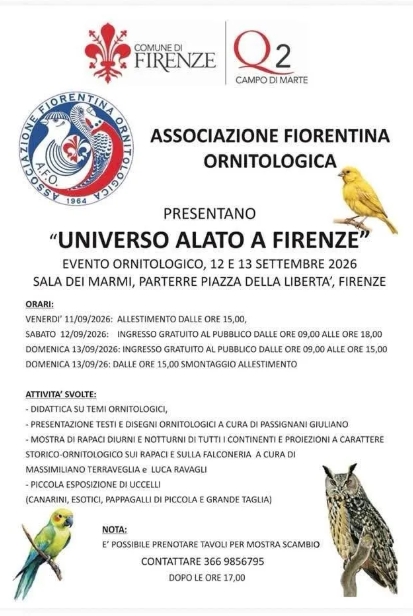 locandina