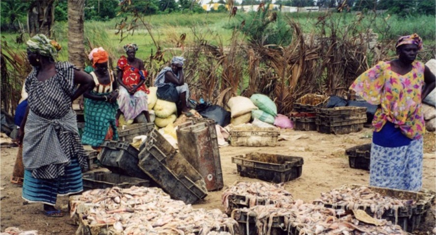 Donne al lavoro in Senegal