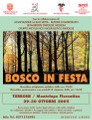 Il manifesto di Bosco in Festa
