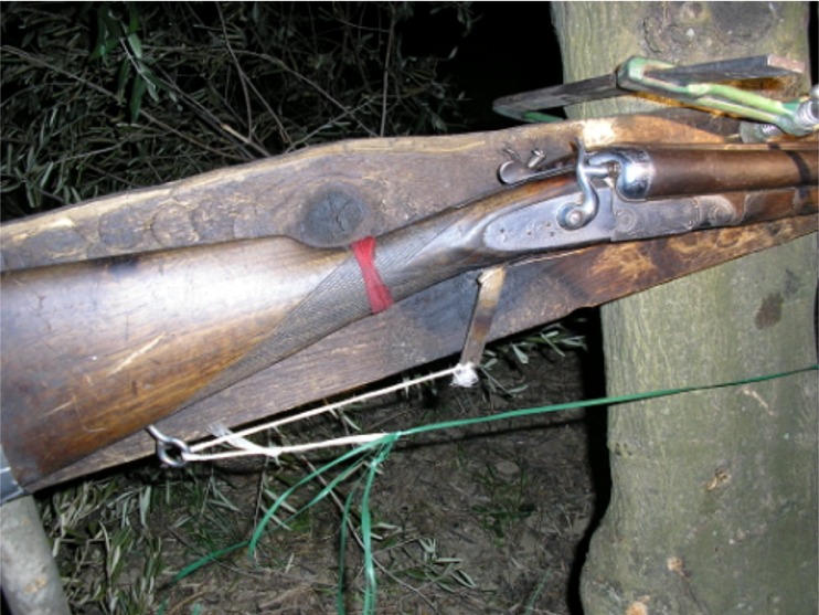Il fucile come  stato trovato dalla polizia provinciale