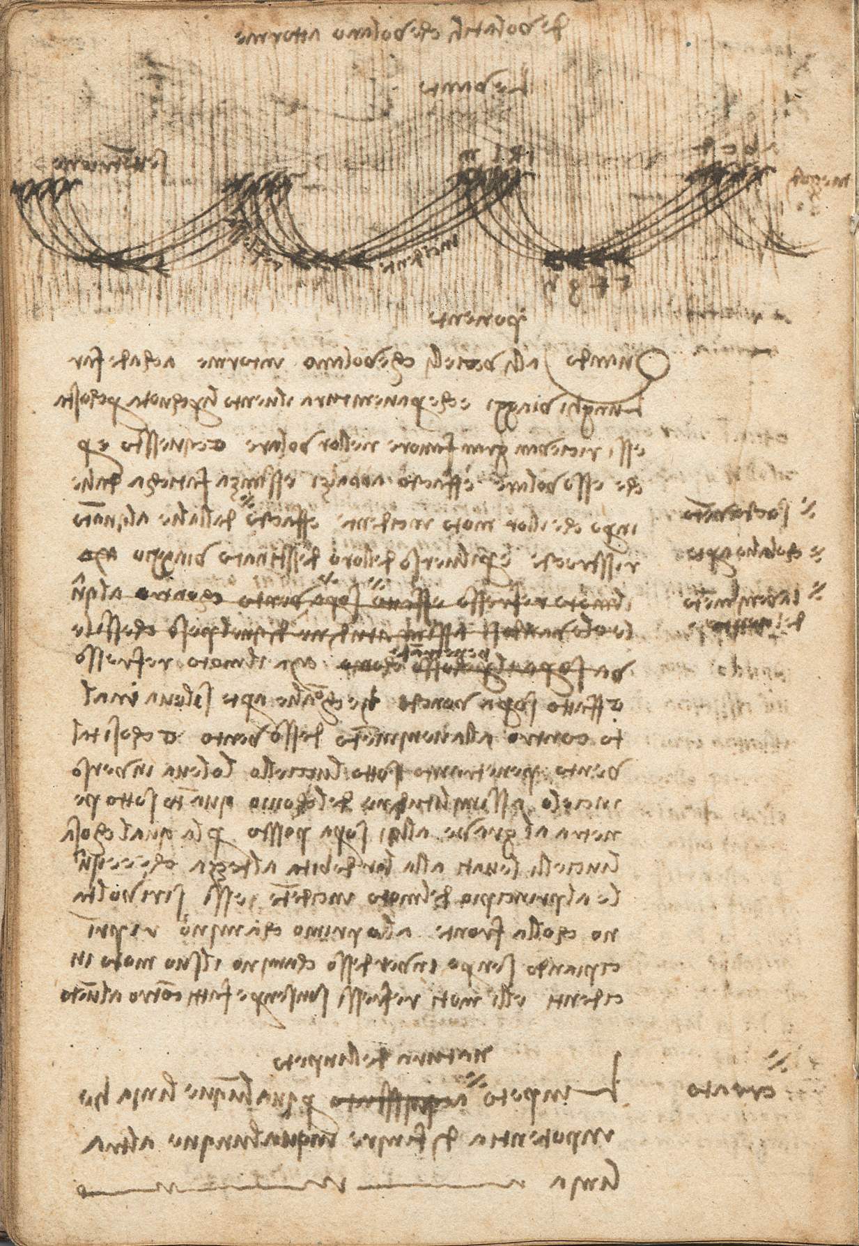 Leonardo da Vinci, I manoscritti dell'Institut de France