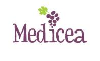 Il logo di Medicea