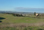 “Il Bosco”, dimora speciale nel Parco di Canonica, veduta del parco