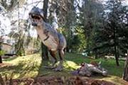 Tyrannosaurus Rex al Museo di storia naturale dell'Universita' di Firenze