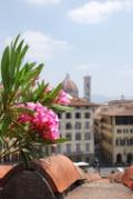 Firenze Terrazza con vista