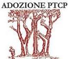 Copertina del PTCP della Provincia di Firenze