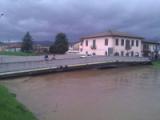  	L'Ombrone a Ponte all'Asse (foto Protezione civile Provincia di Firenze)