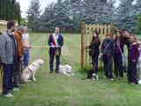 inaugurazione area cani