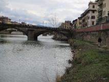 Rimozione della vegetazione sulle sponde dell'Arno in Lungarno Guicciardini