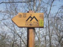 cartello ultra trail mugello