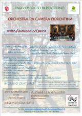 Il programma dei concerti