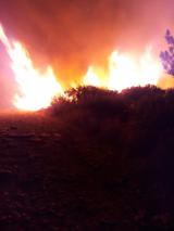 Le fiamme sul Monte Serra