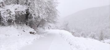 Neve in Alto Mugello. Immagini da Palazzuolo sul Senio e Passo della Sambuca