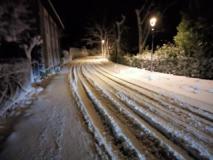 Neve nella notte alla Consuma e a Vallombrosa