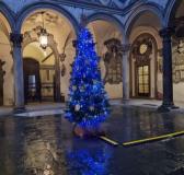 L'albero di Natale nel cortile di Palazzo Medici Riccardi