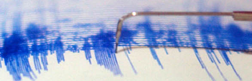 Sismografo (Fonte sito web Istituto Nazionale di Geofisica e Vulcanologia)