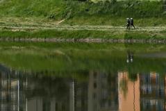 Cascine lungo l’Arno (foto archivio Antonello Serino - Met Ufficio Stampa)