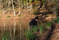 ripristino ambientale di un’area di 10.000 mq del Parco Mediceo di Pratolino 