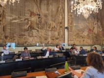 Il voto in Consiglio