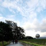 Il sentiero all'ingresso del Parco - Foto Città metropolitana