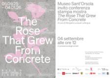 Invito Conferenza stampa Sant'Orsola