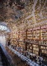 La Biblioteca Riccardiana