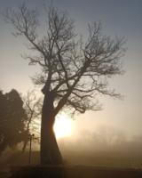 Foto Città Metropolitana di Firenze