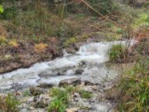 (fonte foto comunicato stampa)