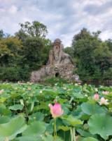 Foto Città Metropolitana di Firenze