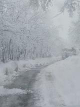 Foto Città Metropolitana di Firenze