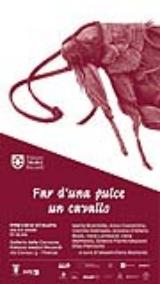 Far d'una pulce un cavallo