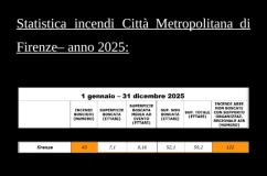 La statistica degli incendi